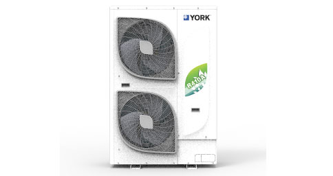 约克中央香蕉视频网站在线观看